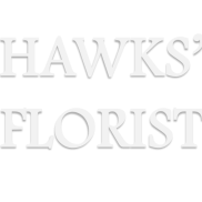 hawk hawk Photo