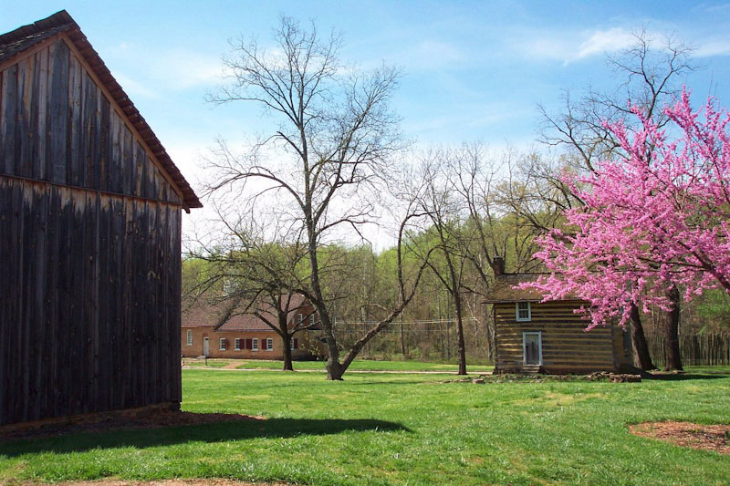 Bethabara Park in the spring