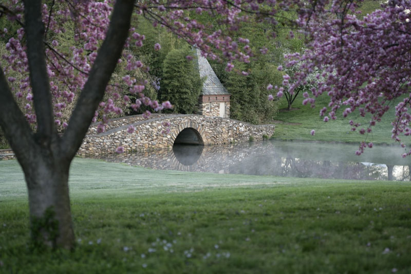 Graylyn in the spring