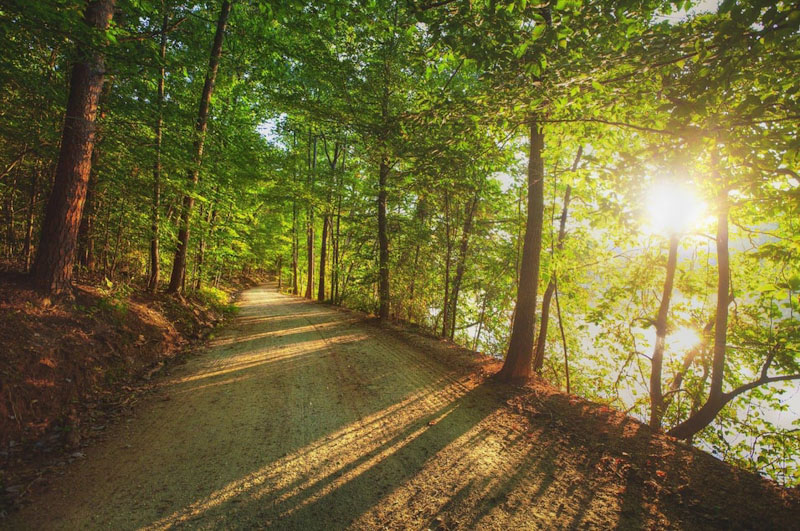 Salem Lake Trail