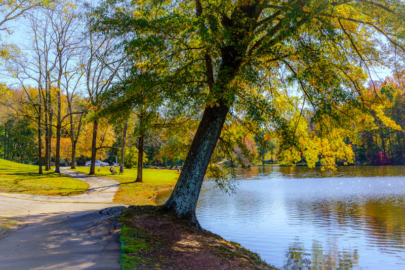 Tanglewood Park