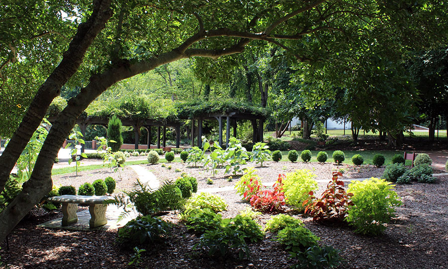 Tanglewood Arboretum