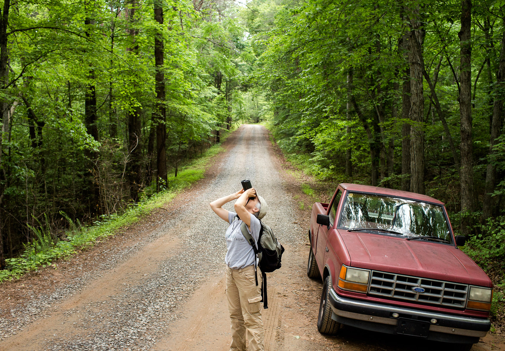 Birdwatching at Pilot Mountain