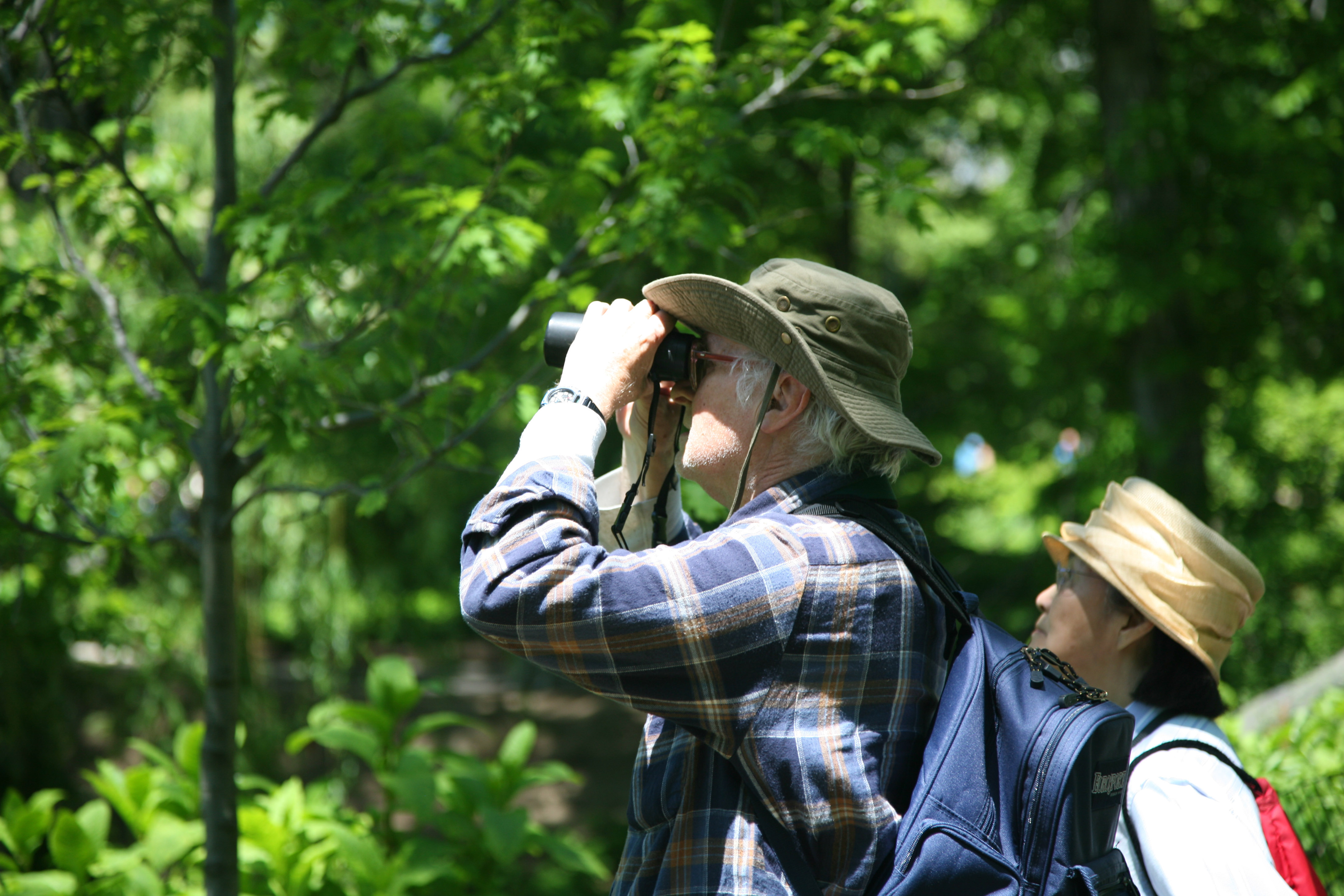 Birdwatching in Winston-Salem