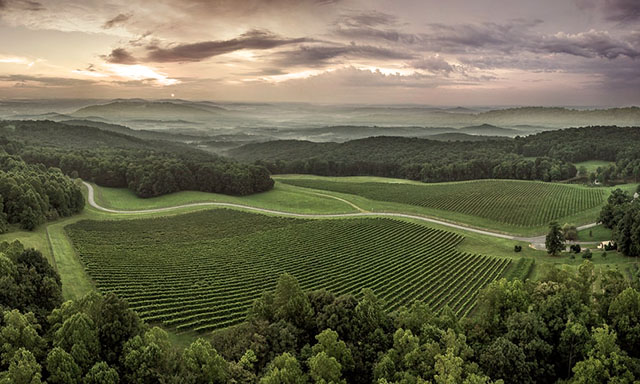 Aerial shot of Dynamis Estate Wines near Winston-Salem.