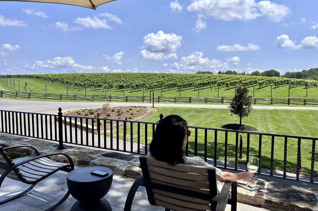 A woman enjoying the view at Dynamis Vineyard and Winery