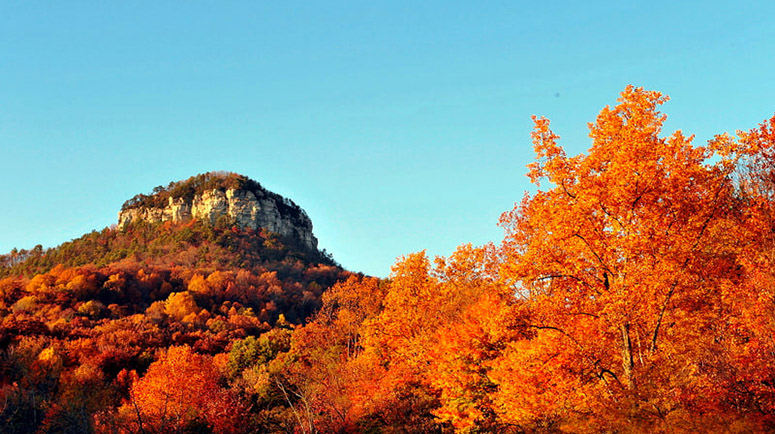Pilot Mountain