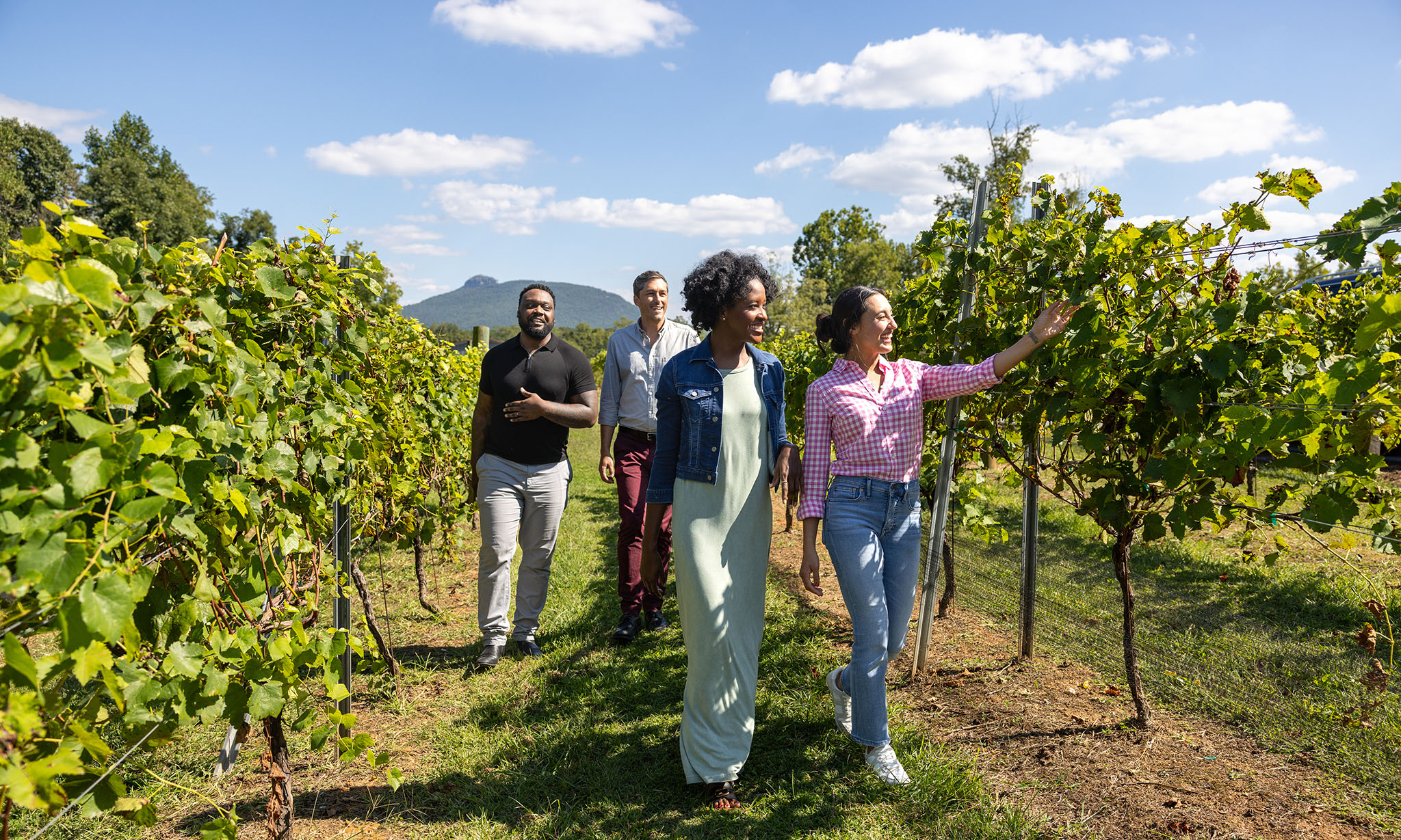 A group of two women and two men walk through the vines at Jolo Winery & Vineyards.