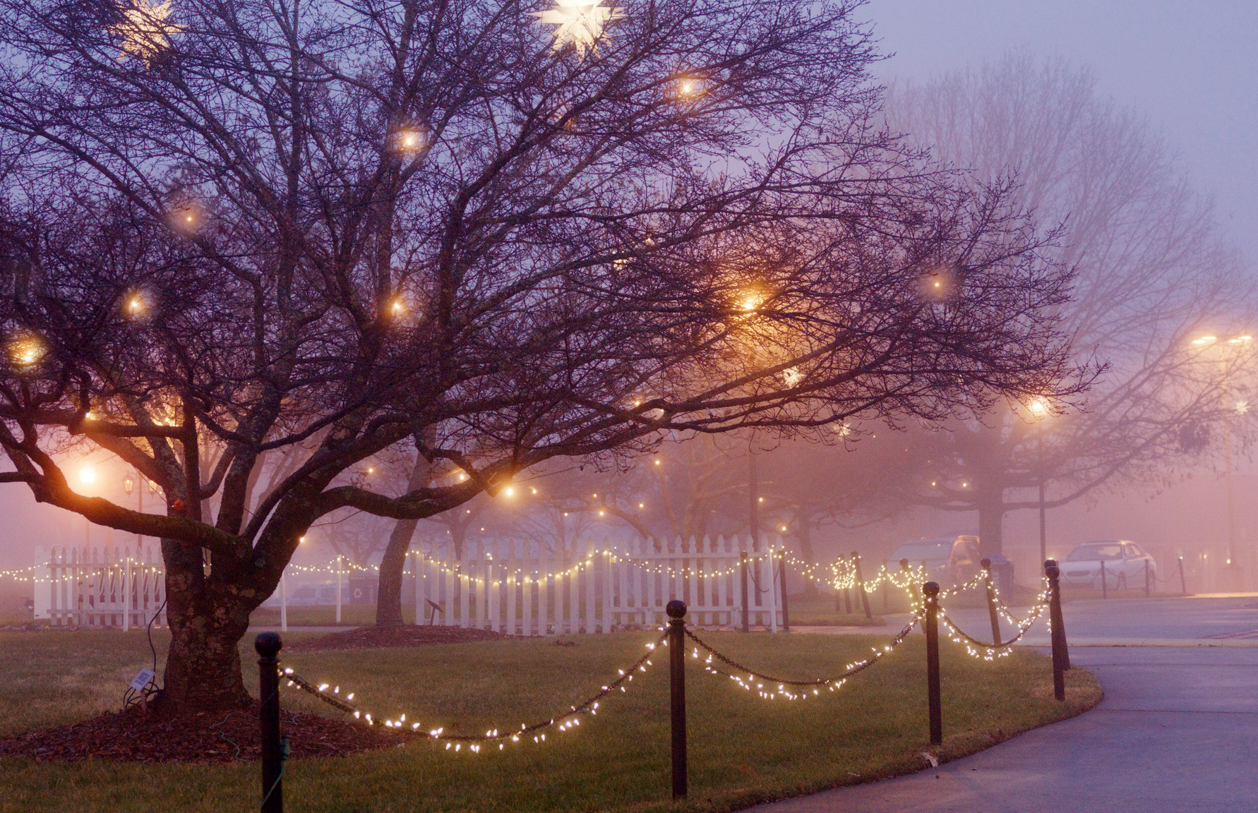 Downtown Kernersville christmas tree lighting