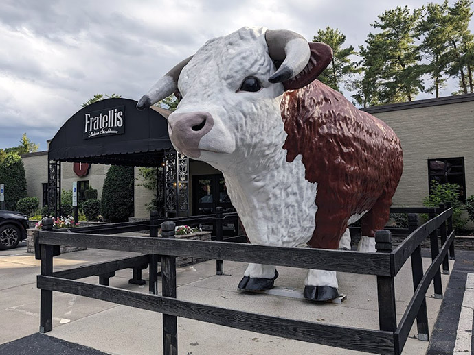 Winston the bull outside Fratellis Italian Steakhouse