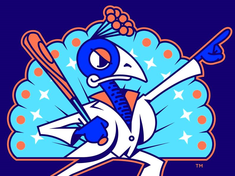 Disco Turkeys logo