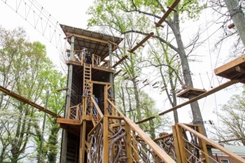 A group of people work together to complete a team building activity on the ropes course at Miracle Heights Adventures in Winston-Salem.