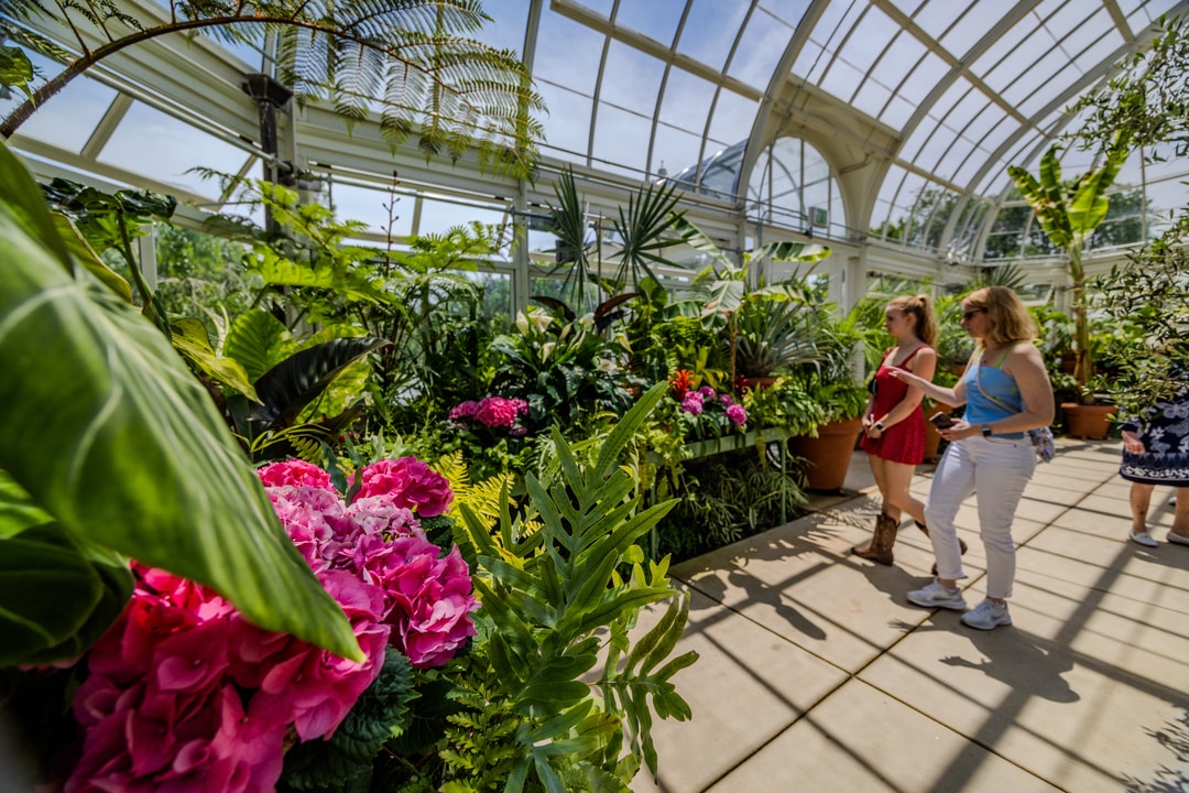 A woman and child admire the lush greenery and florals inside the newly restored greenhouse and conservatory on the grounds of Reynolda Gardens.