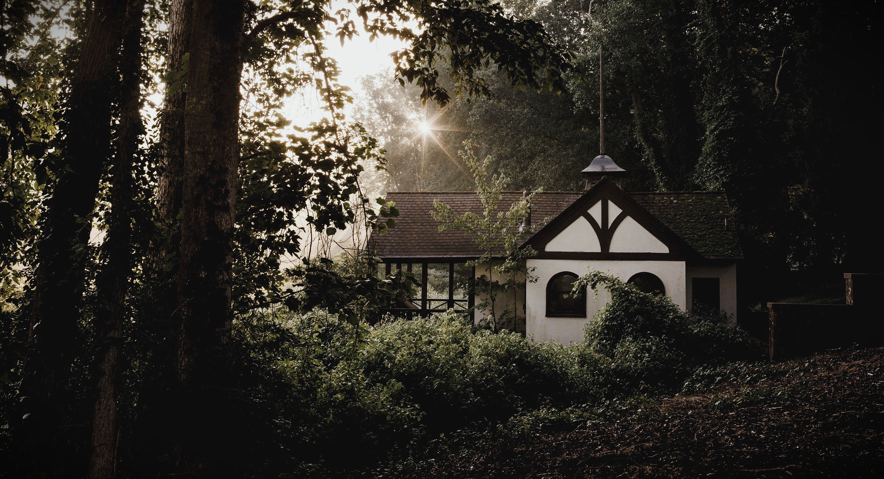 header image