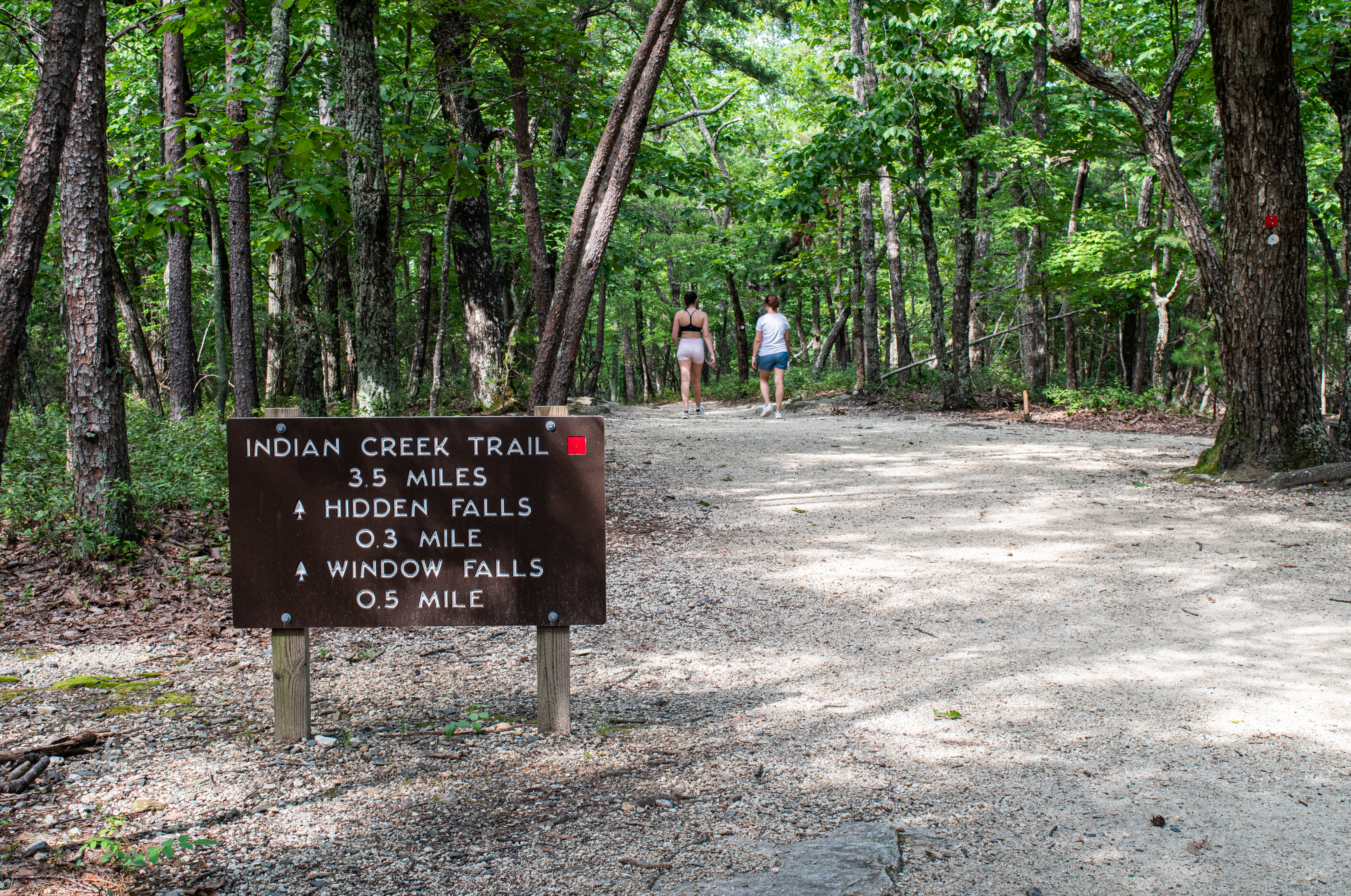 Two hikers traverse the Indian Creek Trail at Hanging Rock State Park.