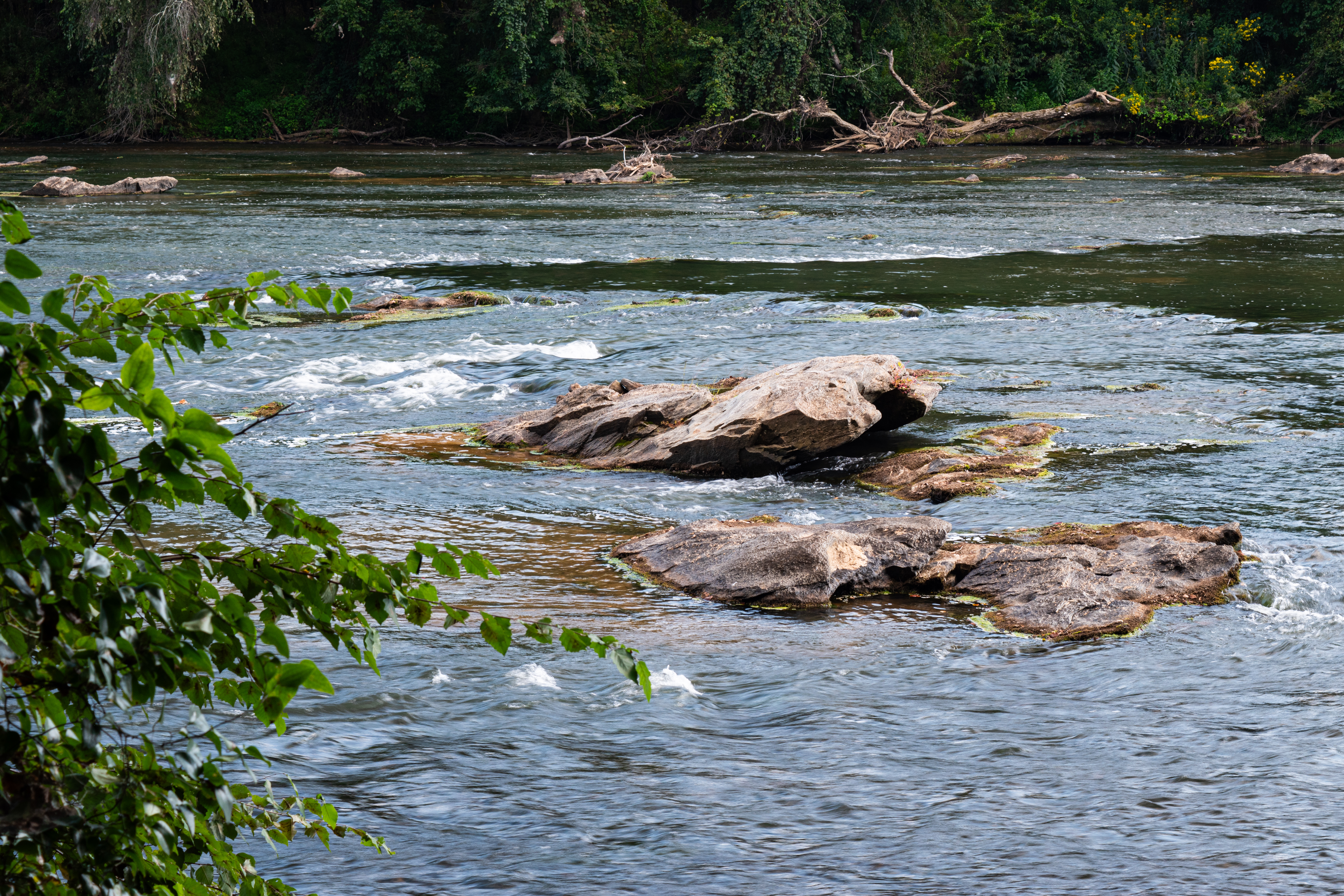 The Yadkin River, as seen from the Bean Shoals Trail at Pilot Mountain State Park.