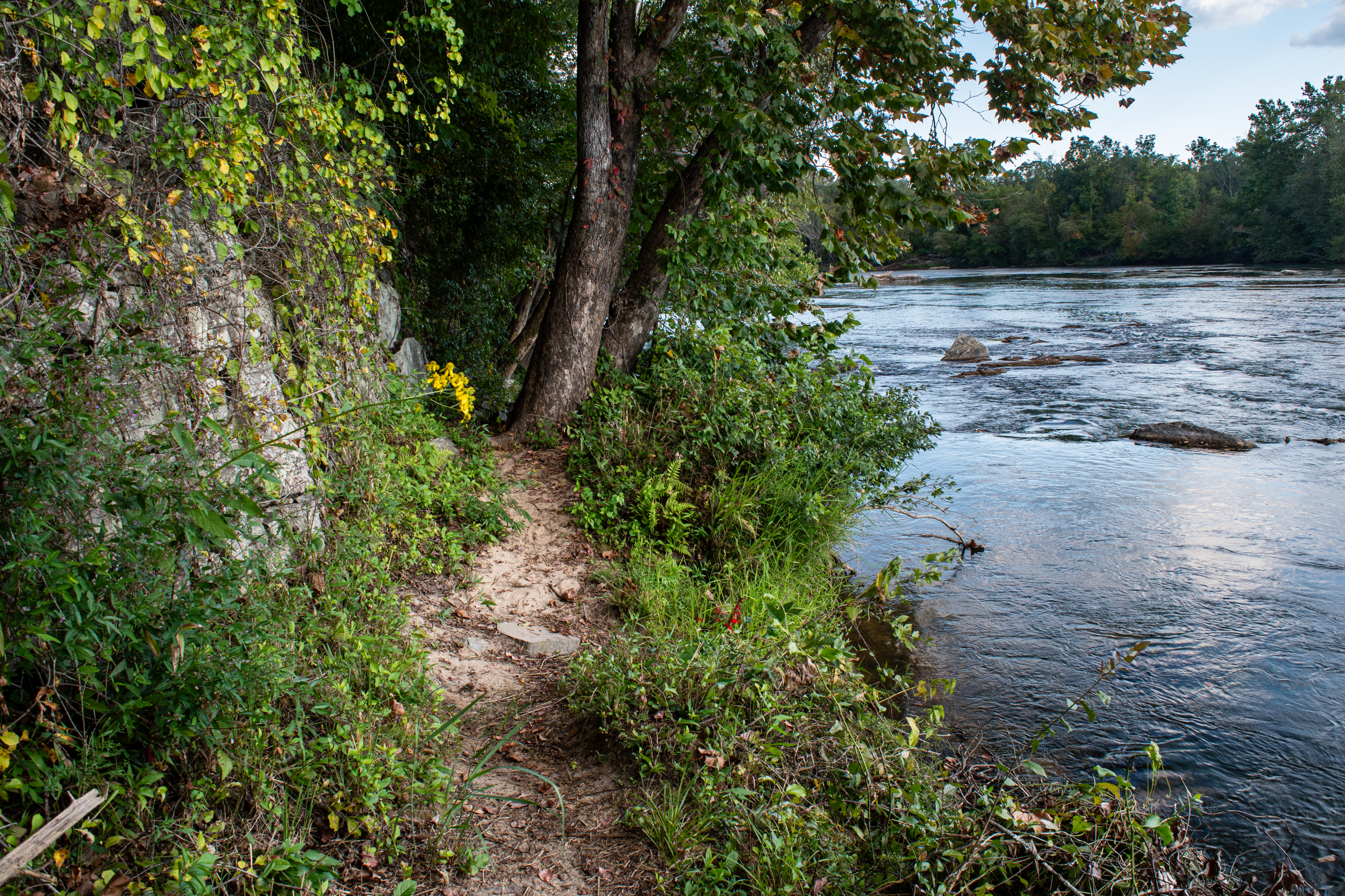 Bean Shoals Canal Trail Pilot Mountain Yadkin River
