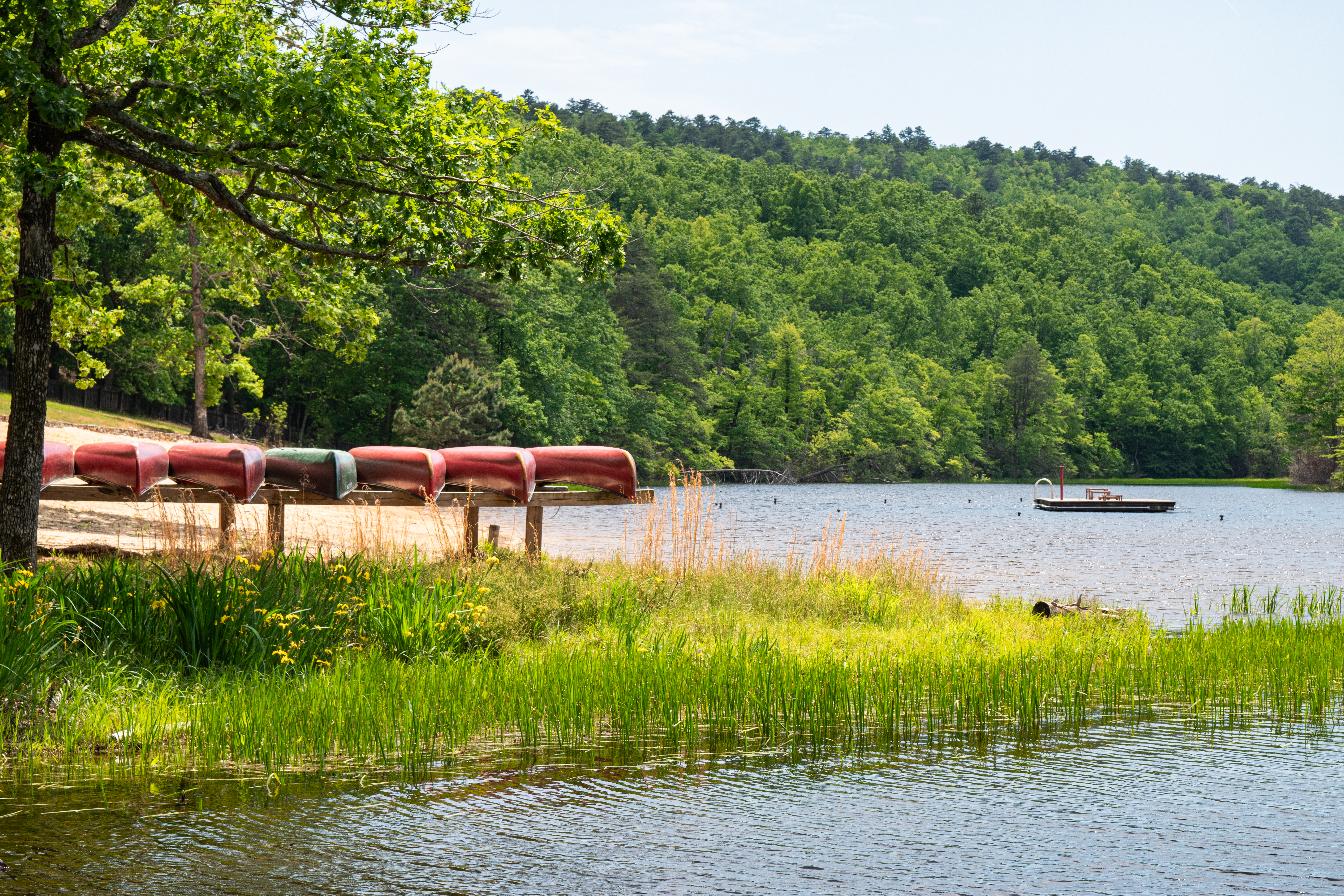 A row of canoes sit overturned on a dry storage rack next to the waterline at the recreational swimming lake in Hanging Rock State Park.