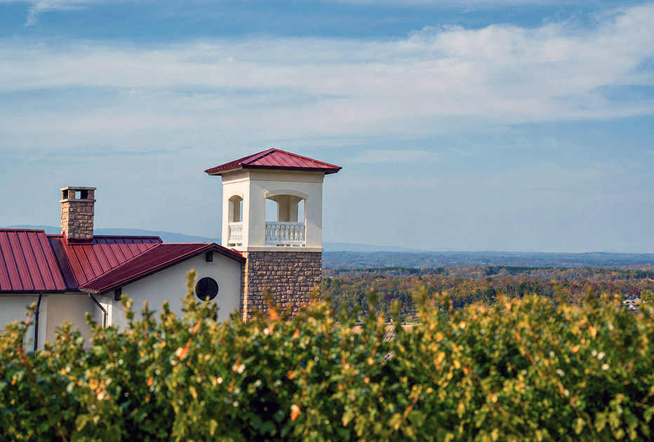 Piccione Vineyards, photo by Anna Cook
