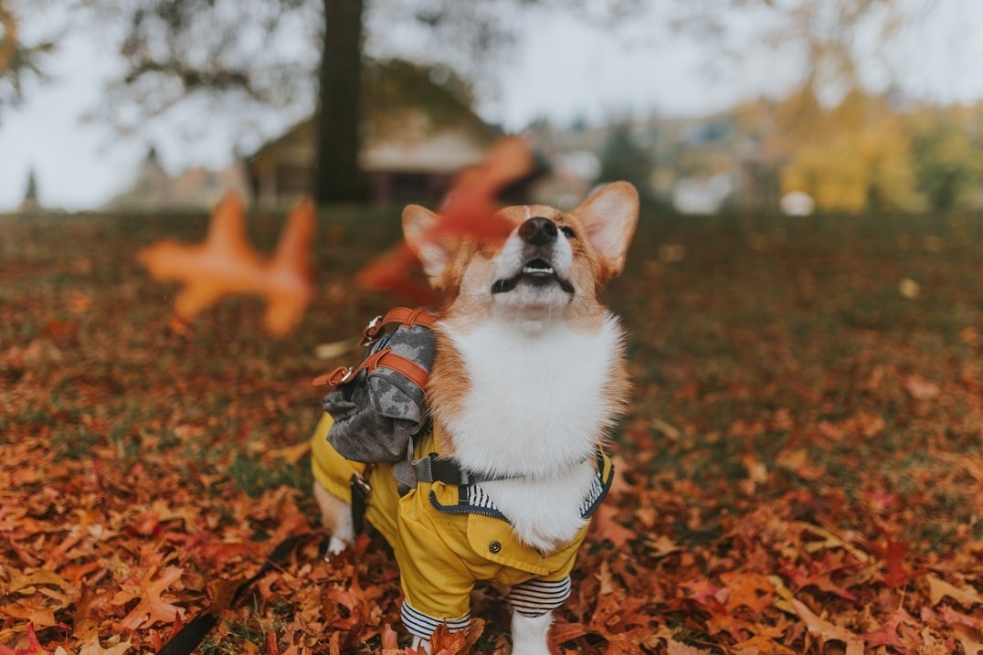Photo by Cole Keister on Unsplash Photo