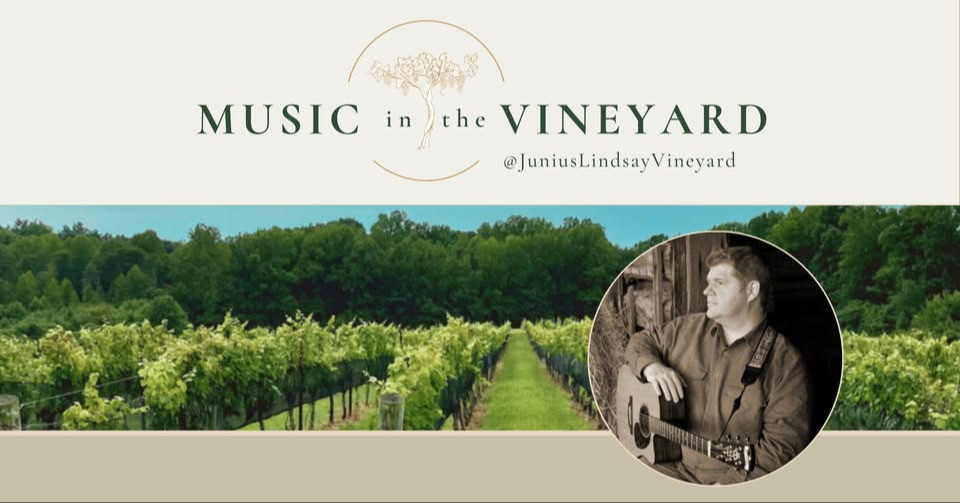 Music in the Vineyard: Jim Mayberry Photo