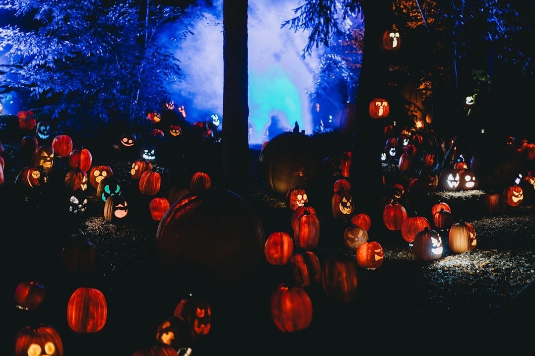 Photo by Steven Van Elk on Unsplash Photo