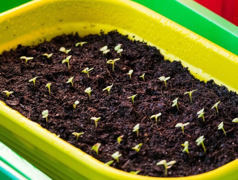 Photo by Verstappen Photography on Unsplash Photo