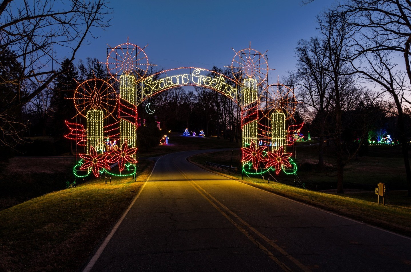 Tanglewood Festival of Lights Photo