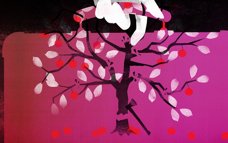 The Cherry Orchard Photo