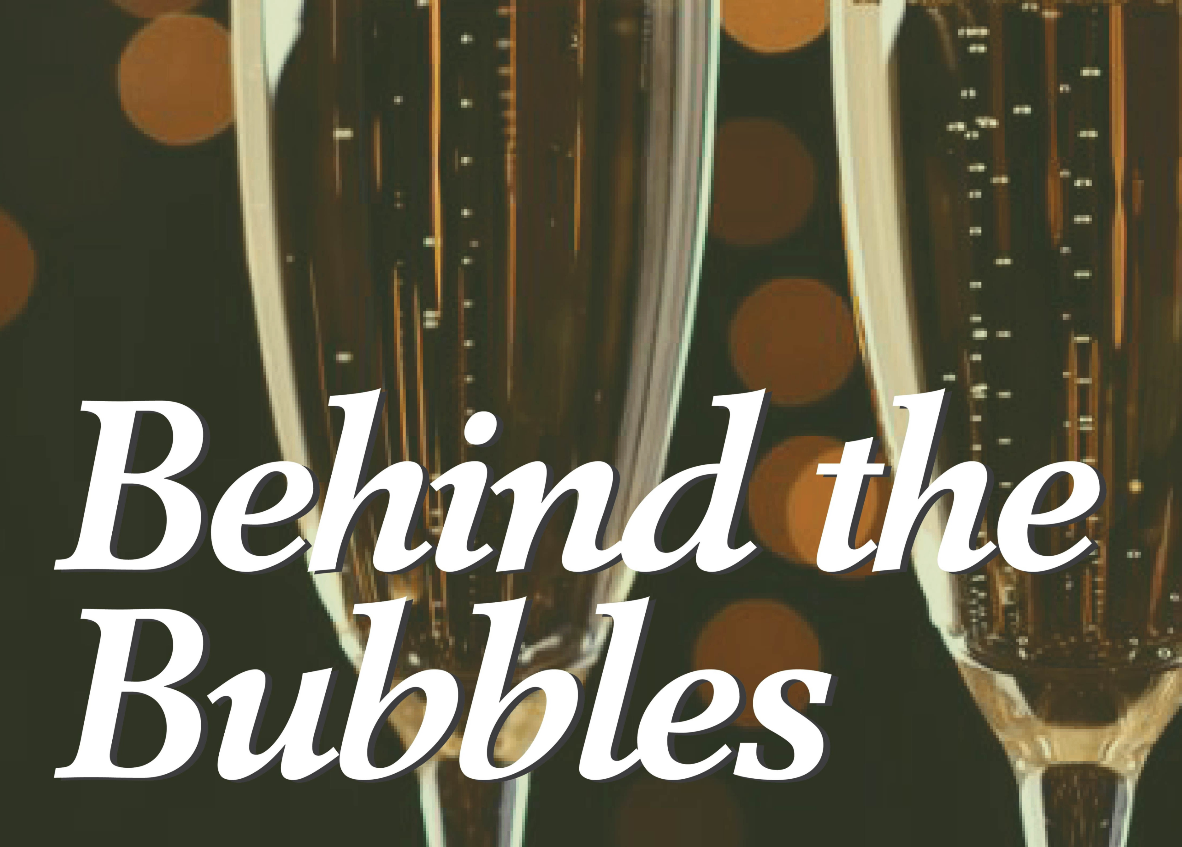 Behind the Bubbles at Shelton Vineyards Photo