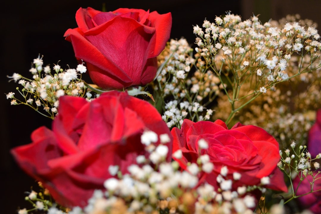 Photo by Lauren Taylor on Unsplash Photo