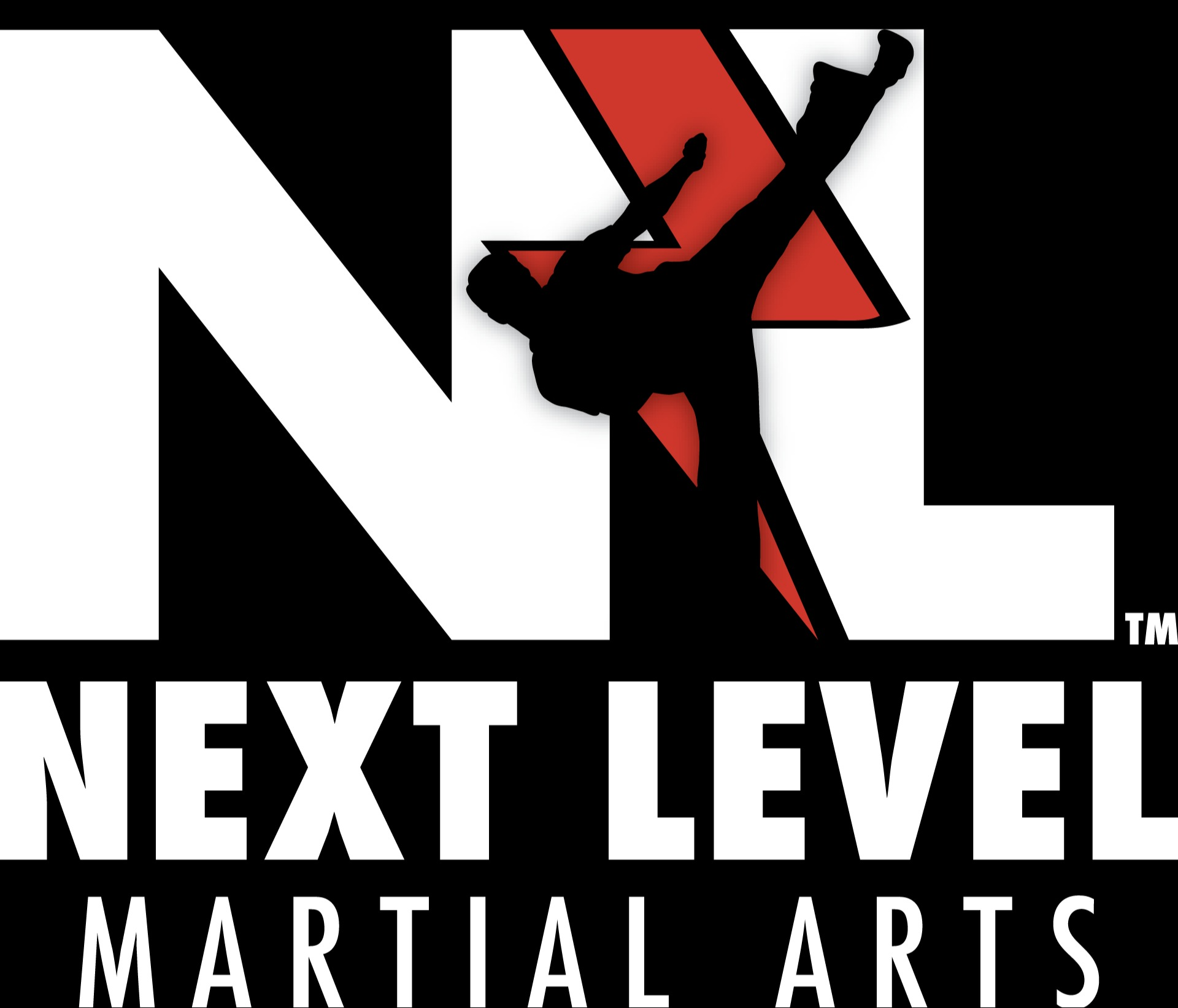 Next Level Martial Arts Grand Opening Photo