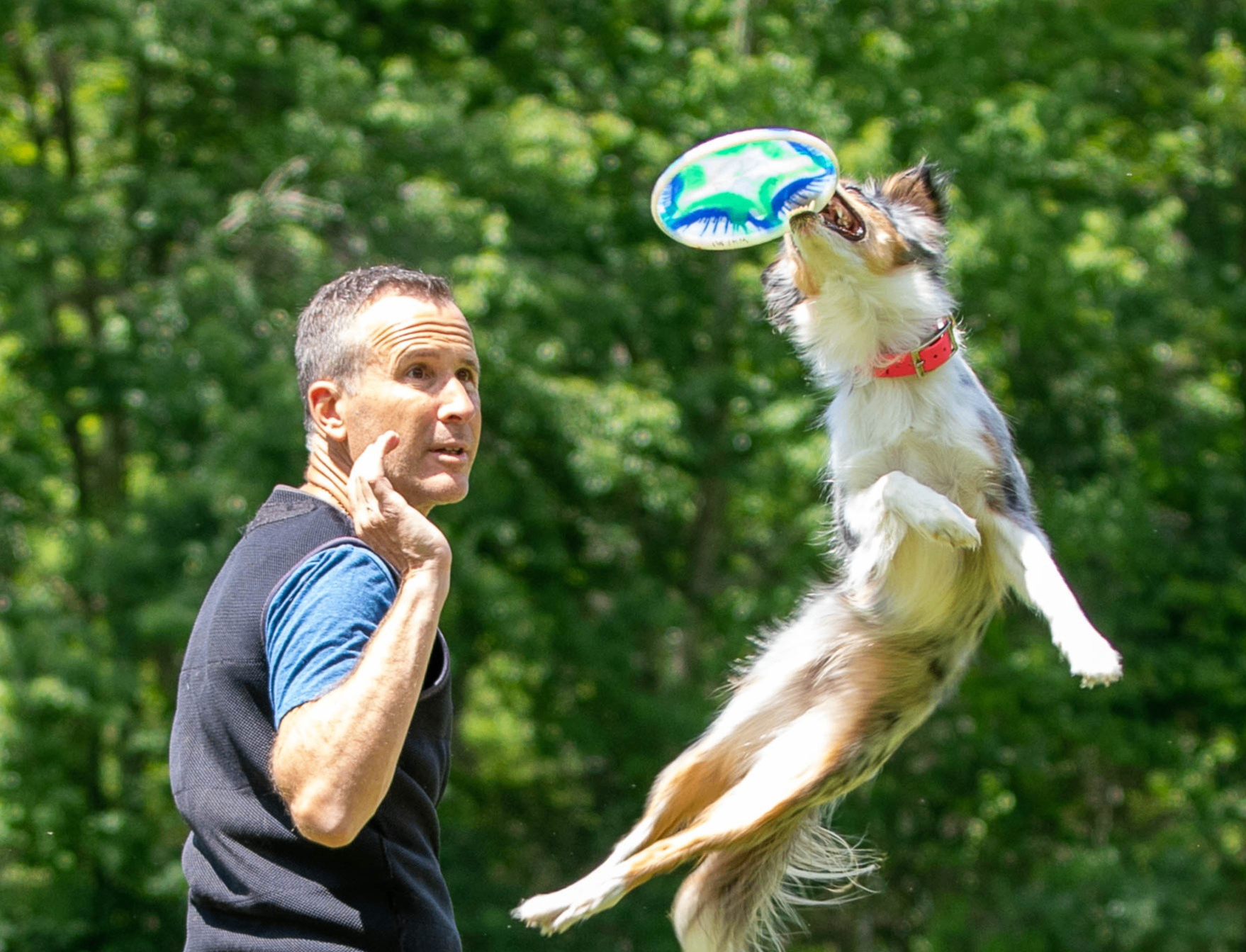 UpDog International Finals at Tanglewood Photo