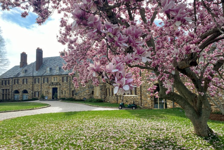 Dream Discovery Retreat Photo