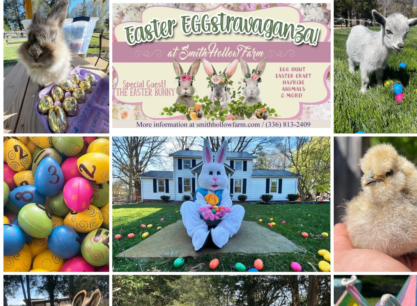 Easter EGGstravaganza and Photos with the Easter Bunny! Photo