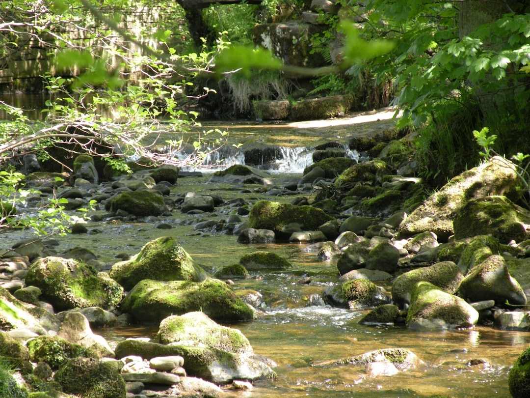 Photo by Brian Cockley on Unsplash Photo