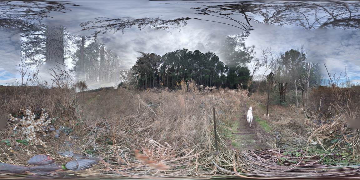 Art Exhibit of work By Alix Hitchcock and Dave Urena Photo