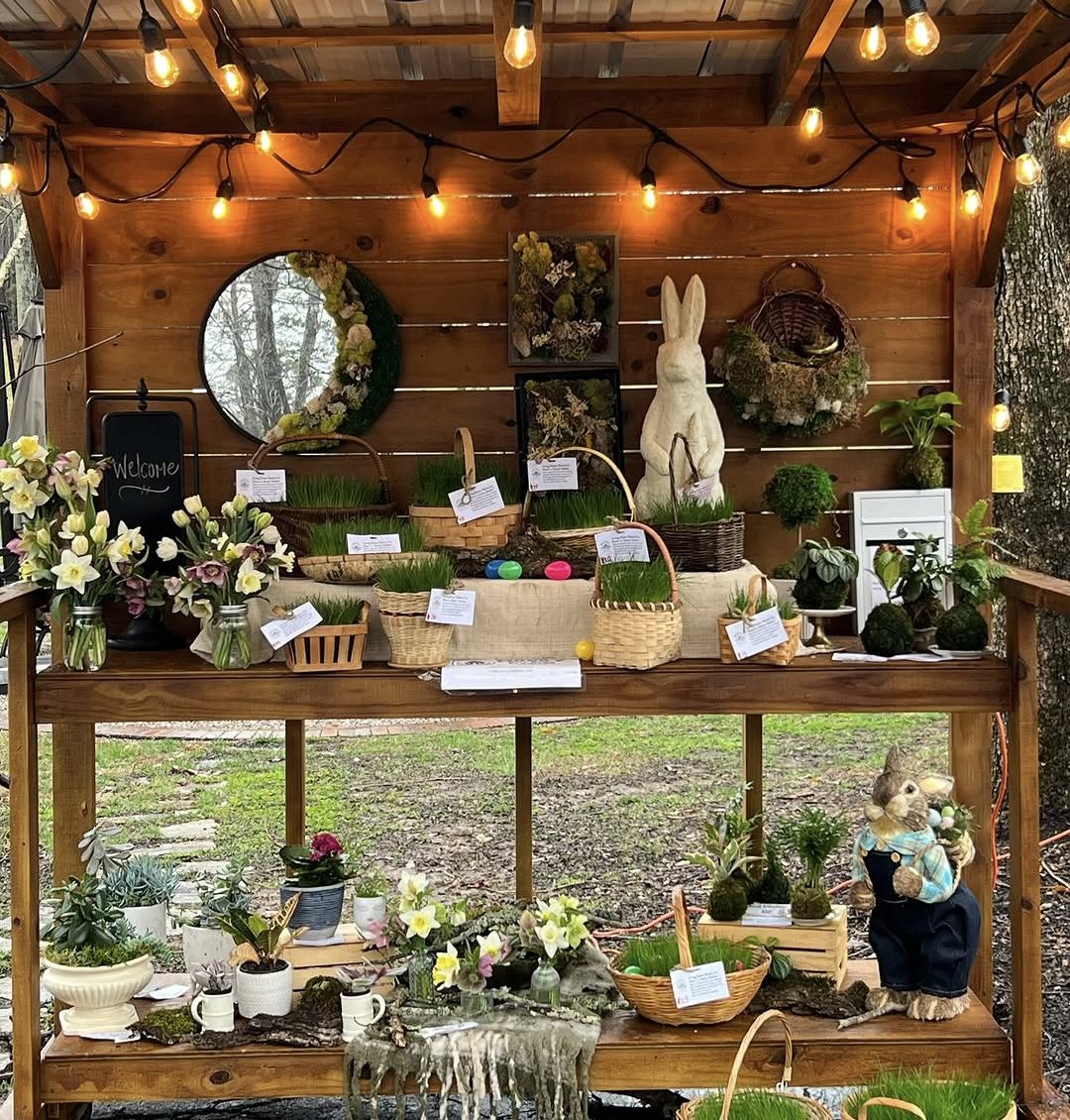 Mossy Hill Listening Room Photo