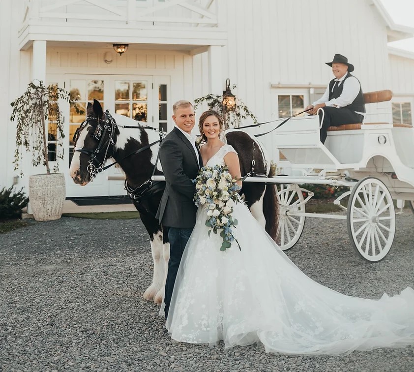 wedding carriage Photo