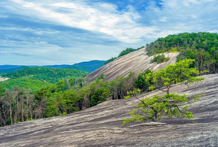 Stone mountain store state park