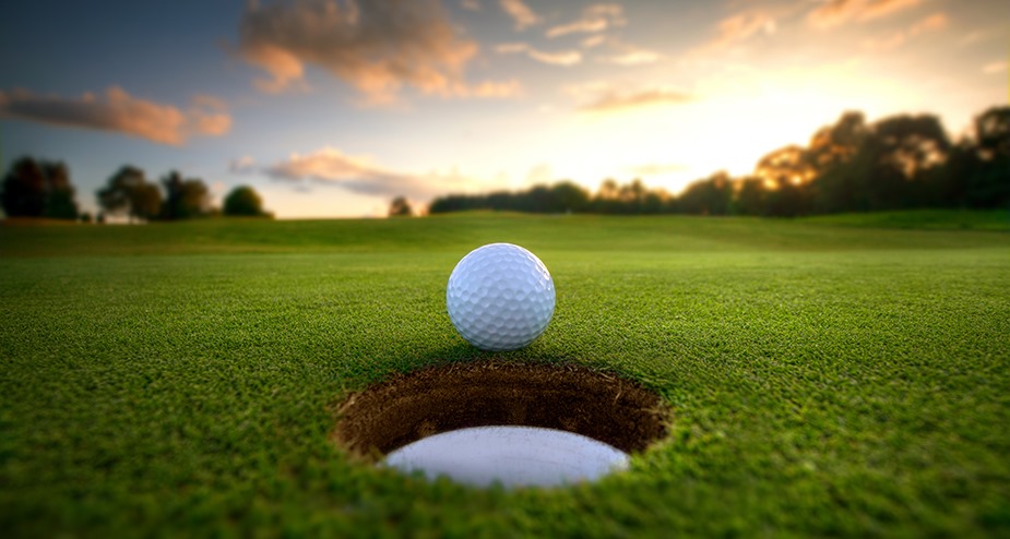 Olde Homeplace Golf Course Golf Ball Olde Homeplace Golf Course Golf Ball Photo