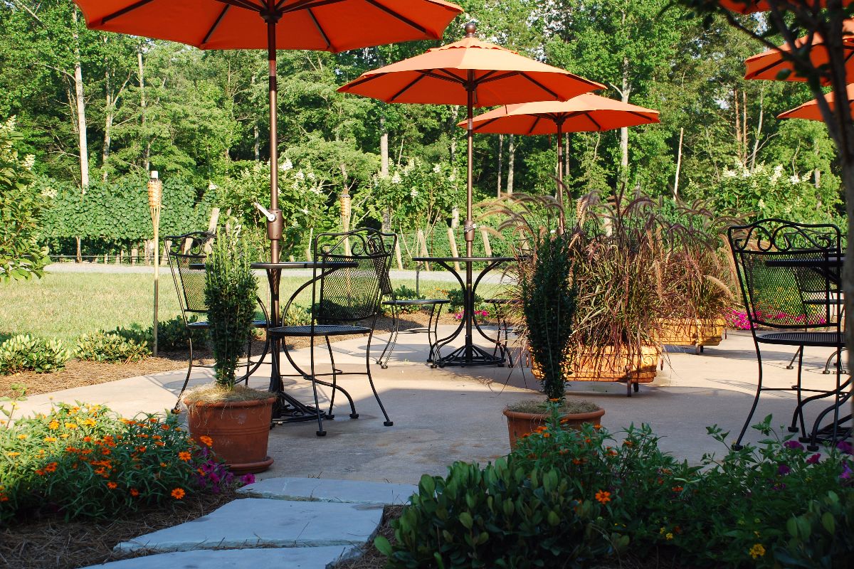 patio patio Photo