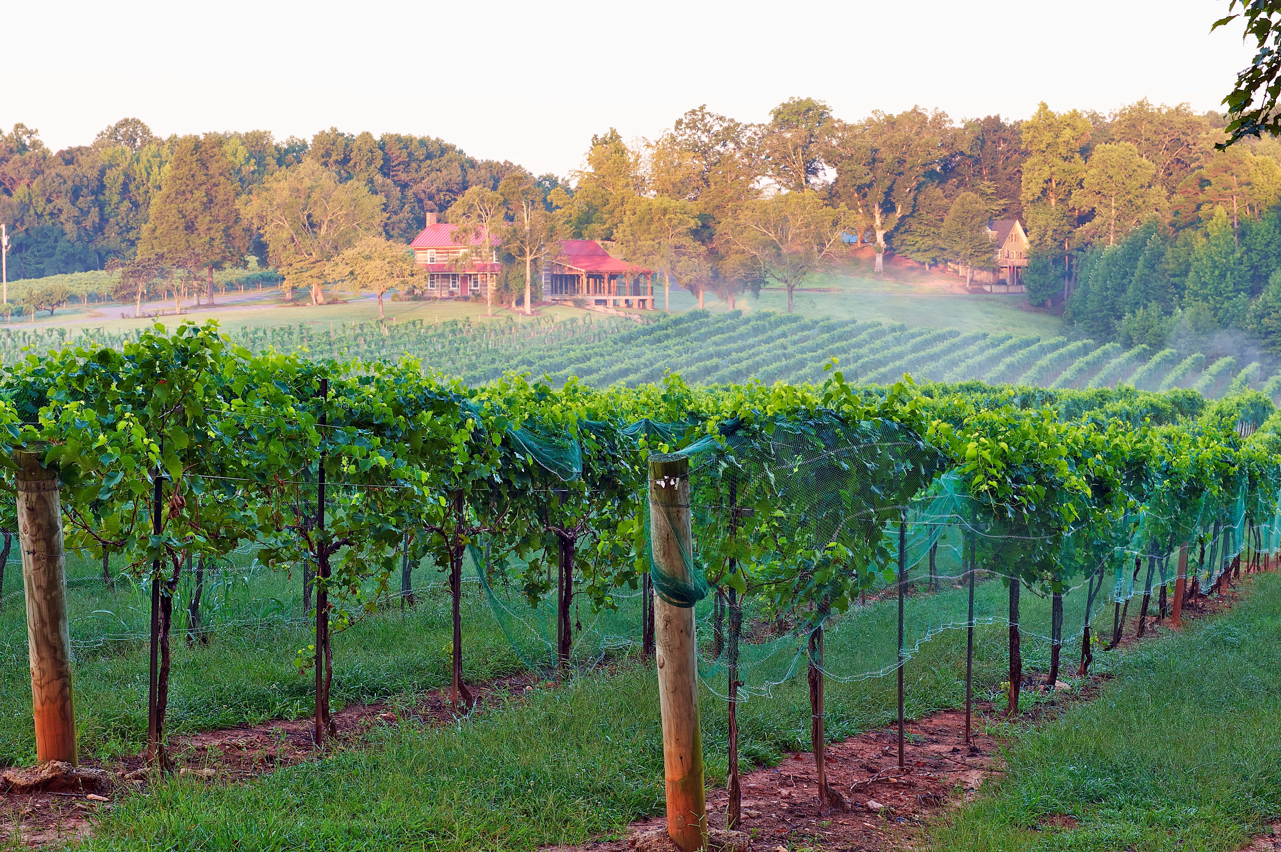 Yadkin Valley Yadkin Valley Photo