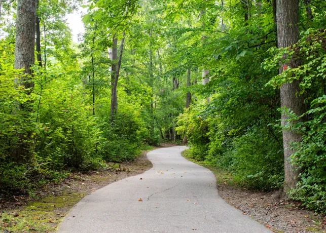 Tanglewood Park Trail surrounded by lush trees and greenery