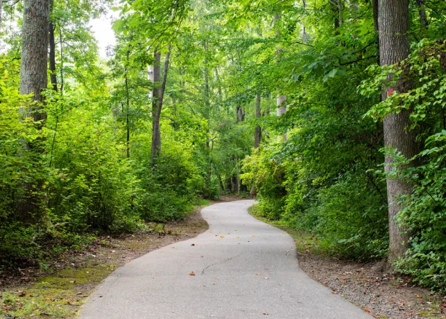 Tanglewood Park Trail surrounded by lush trees and greenery