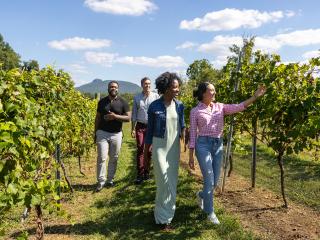A group of two men and two women walk through the vines at JoLo Vineyard near Winston-Salem.