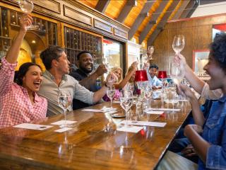 A group of people cheers while enjoying a wine tasting at Jolo Vineyards and Winery near Winston-Salem.