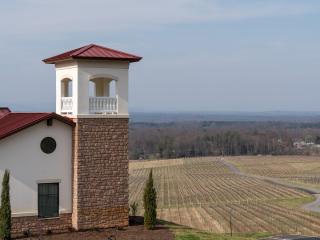 Piccone Vineyards