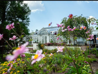 Reynolda Gardens greenhouse