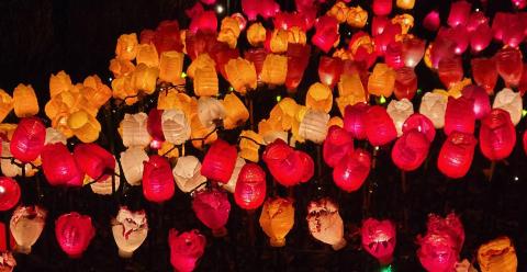 A field of illuminated flowers created by solar lights and plastic bottles